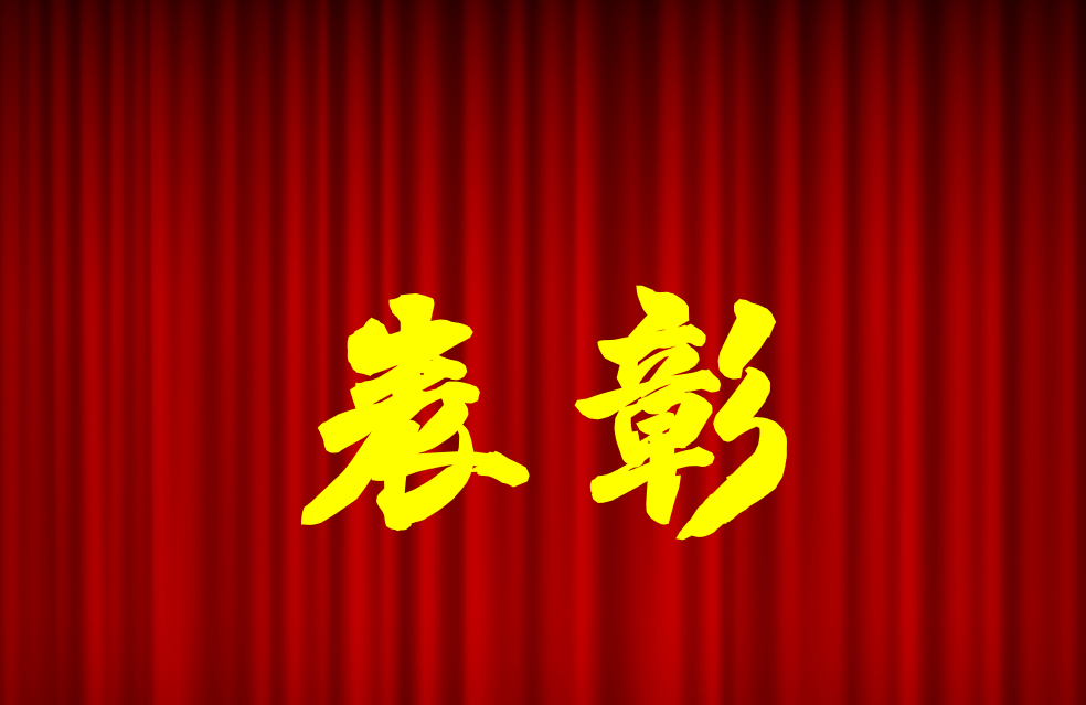 逐光前行、榮耀共鑒 | 公司2024年度表彰來啦！